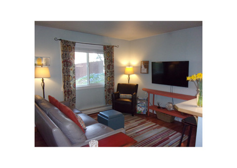 1 bedroom 1 bath furnished condo for lease