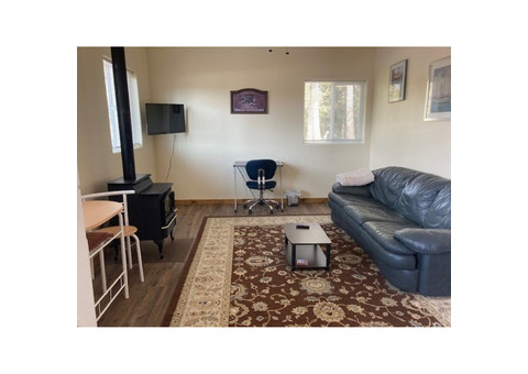 furnished 1br/1ba for rent