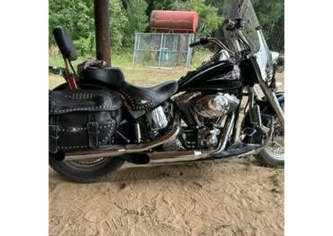 2005 Harley-Davidson heritage softail classic flstc