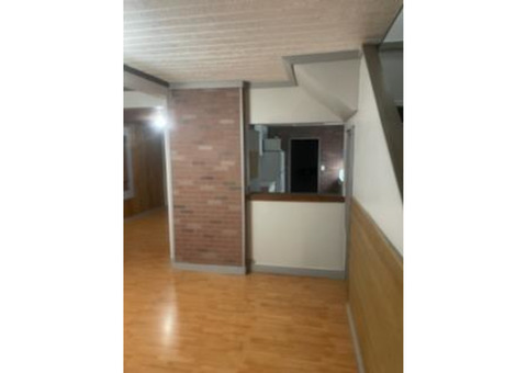 DOGS! DOGS! Downtown, 2BR, 1 BA, large fenced yard