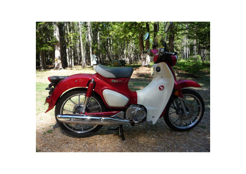 2020 Honda Supercub 125