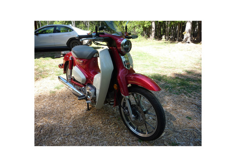 2020 Honda Supercub 125