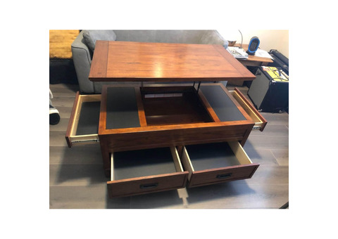 Bassett Sofa/Chair/Ottoman (also storage Coffee Table & large Area Rug)