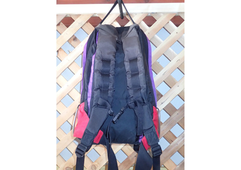 VINTAGE THE NORTH FACE DAY PACK