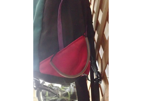 VINTAGE THE NORTH FACE DAY PACK