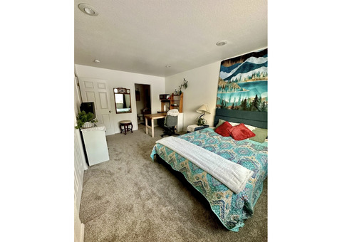 Sunny Spacious Master with Private Bathroom and Packed Kitchenette