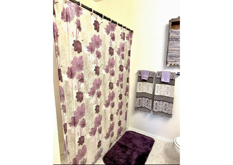 Sunny Spacious Master with Private Bathroom and Packed Kitchenette