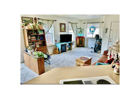 Sunny Spacious Master with Private Bathroom and Packed Kitchenette