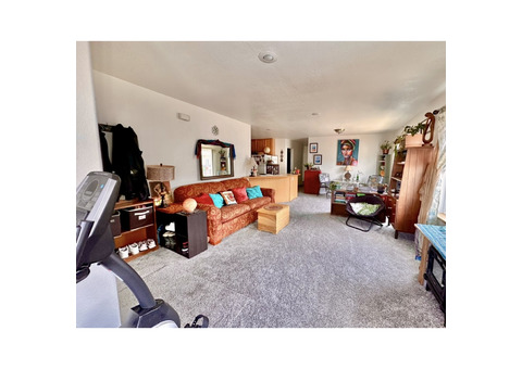 Sunny Spacious Master with Private Bathroom and Packed Kitchenette