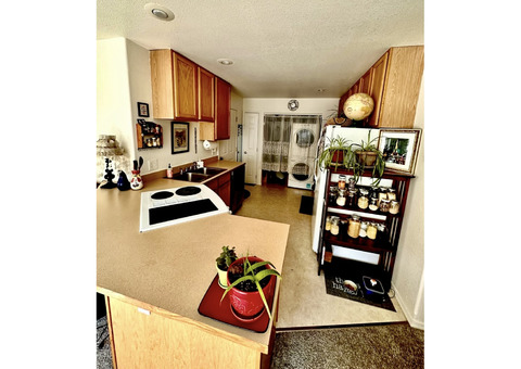 Sunny Spacious Master with Private Bathroom and Packed Kitchenette