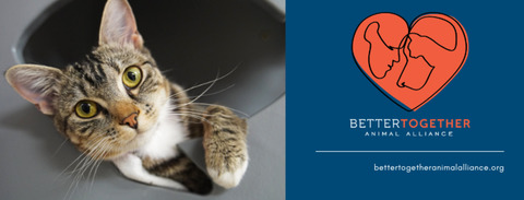Transformational Giving Officer
